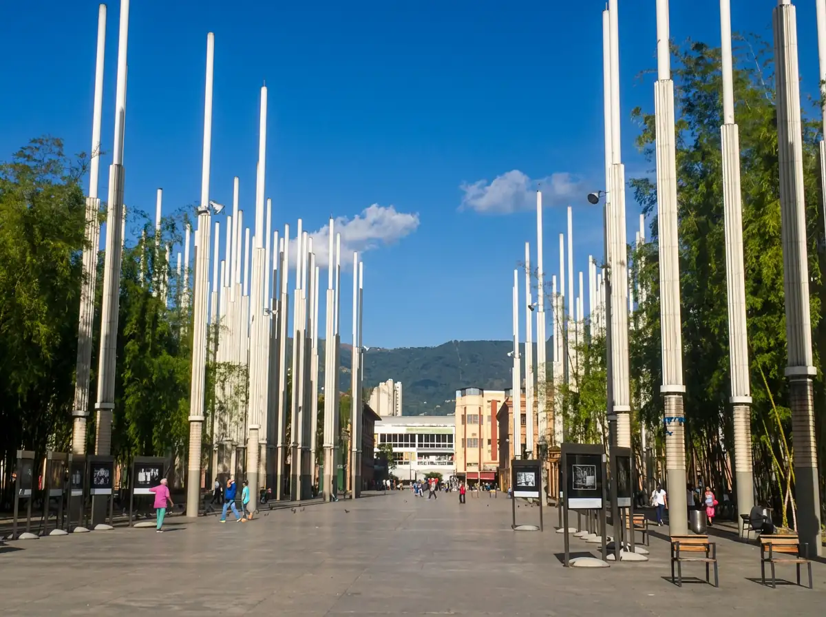 Tropical Shift | The Capital Edition