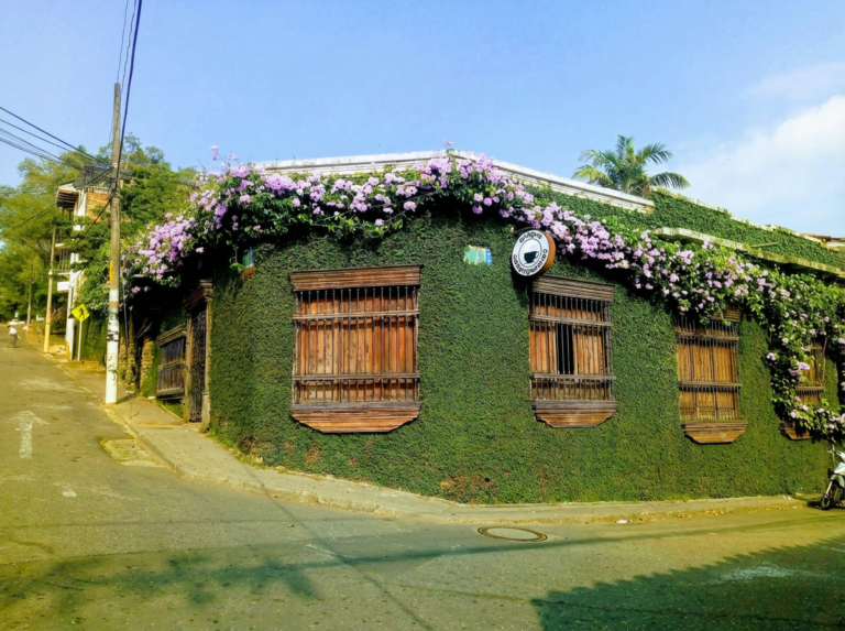 Cali Colombia Travel Guide: More Than Just Salsa