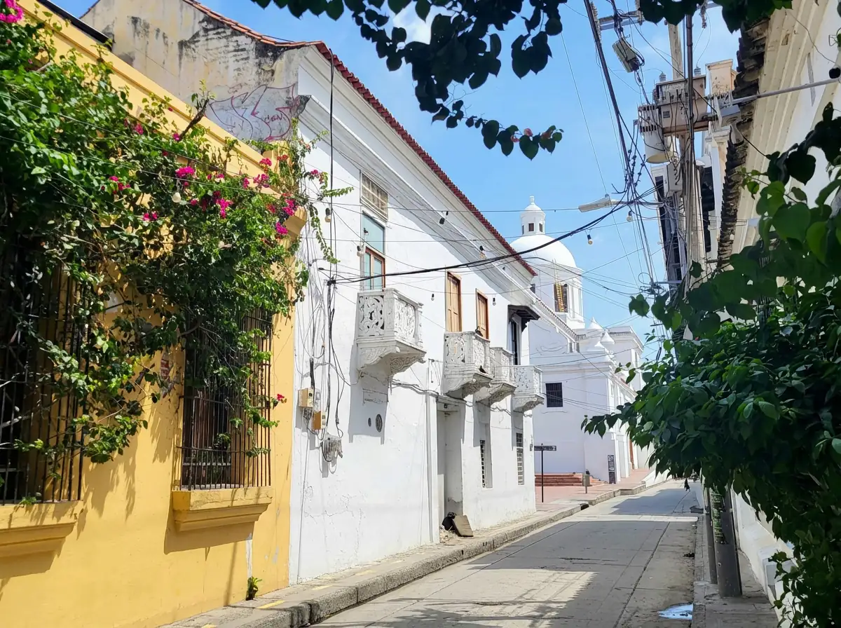 Tropical Shift | The Executive Workation