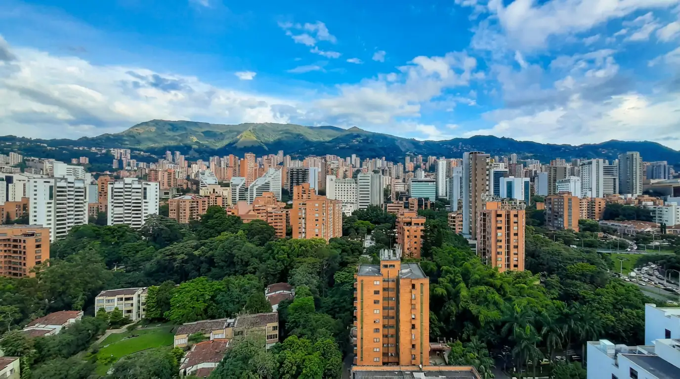 Pacific Pulse | City Innovation Meets Untamed Jungle