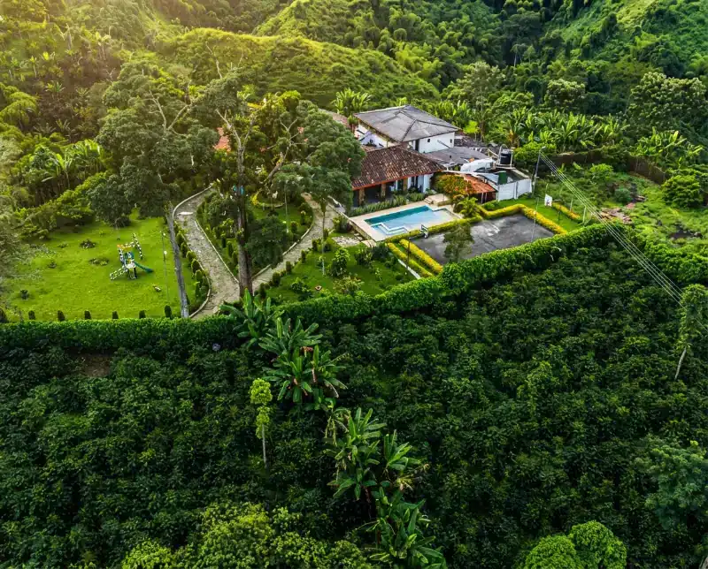 Coffee farm Eje Cafetero